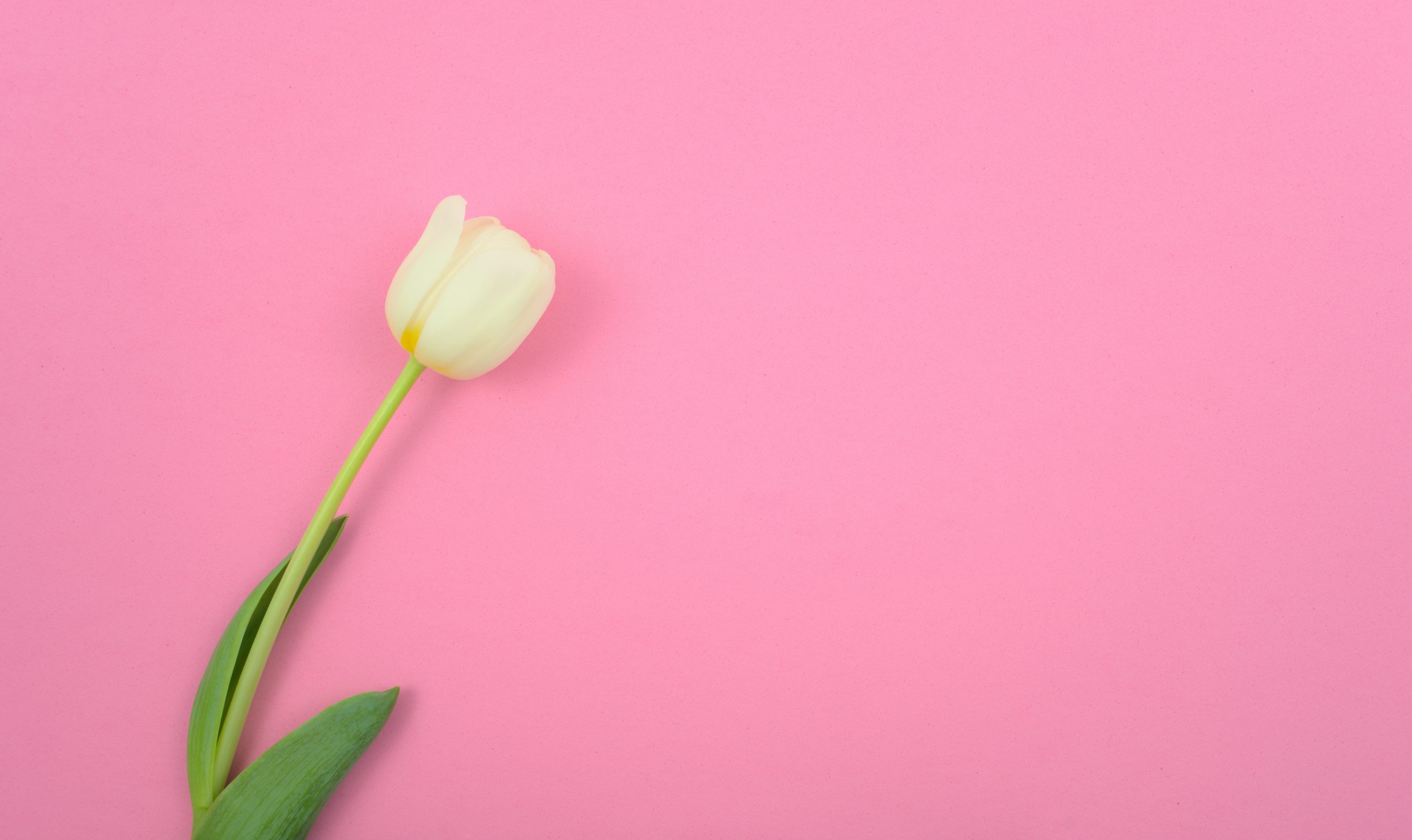 Background 9